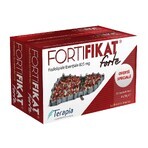 Envase Fortifikat Forte 825 mg, 30+30 cápsulas, Terapia