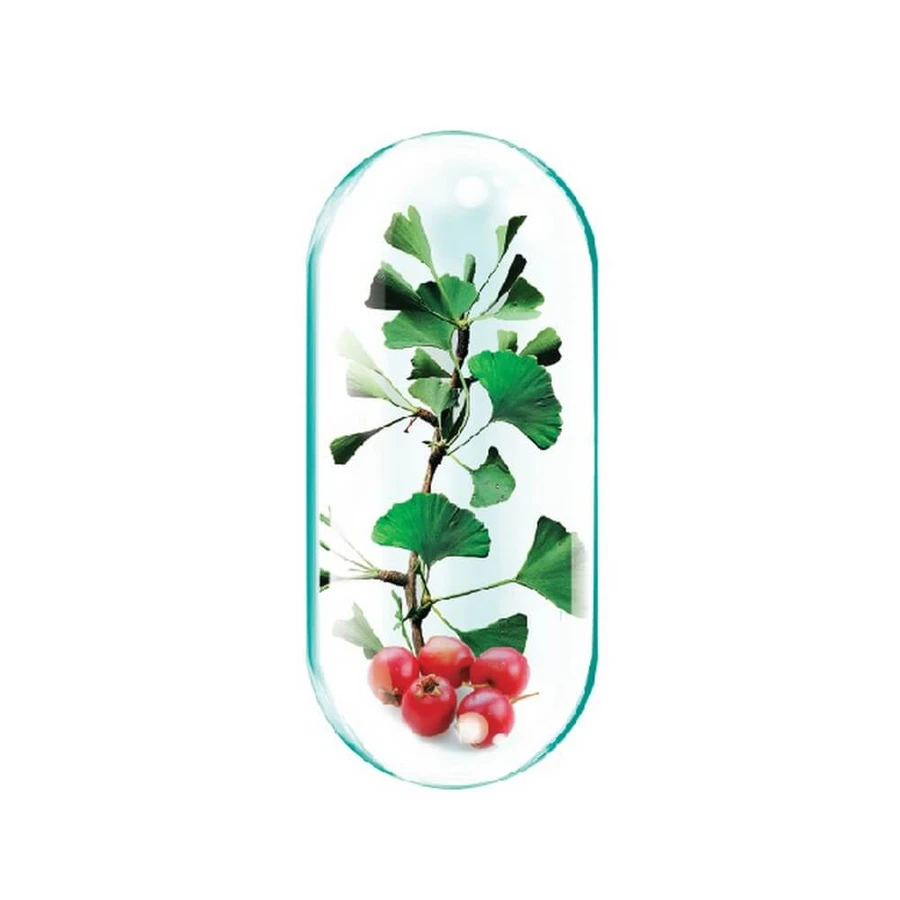 Lecytyna w opakowaniu 1200 mg, 90 kapsułek + 30 kapsułek, Rotta Natura: ceny i cechy