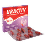 Confezione Uractiv forte, 20 + 16 capsule, Fiterman Pharma