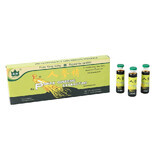 Panax Ginseng extractum, 10 phials, Yongkang International China