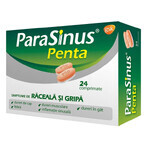 Parasinus Penta, 24 tablets, Gsk