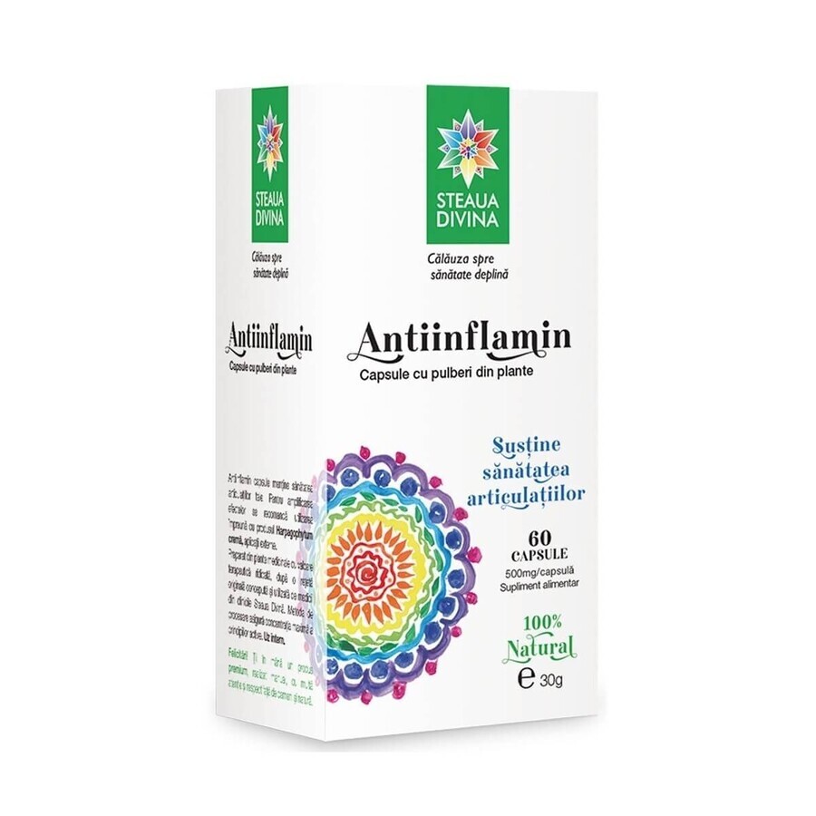 Antiinflamatorio, 60 cápsulas, Divine Star