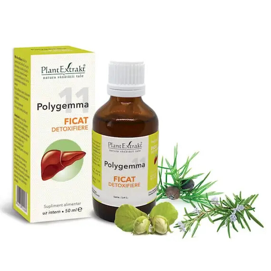 Polygemma 11 Liver Detox, 50 ml, Extracto Vegetal