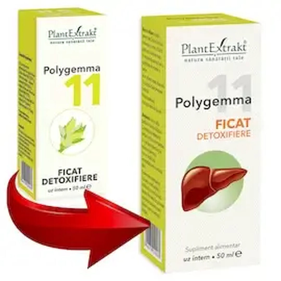 Polygemma 11 Liver Detox, 50 ml, Extracto Vegetal