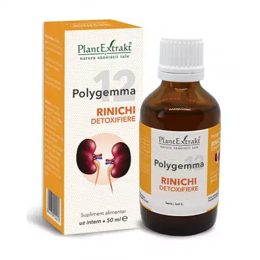 Polygemma 12, Desintoxicación renal, 50 ml, Extracto vegetal