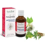 Polygemma 14, Juntas desintoxicantes, 50 ml, Extracto vegetal