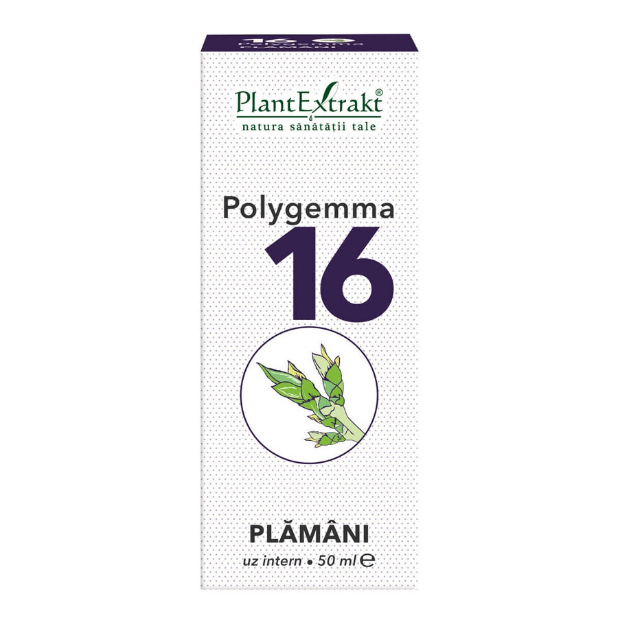 Polygemma 16, Pulmón, 50 ml, Extracto vegetal