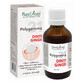 Polygemma 21 Dientes, Enc&#237;as, 50 ml, Extracto Vegetal