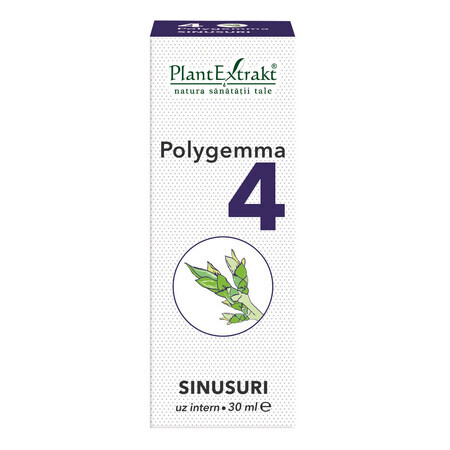 Polygemma 4, Senos paranasales, 30 ml, Extracto vegetal