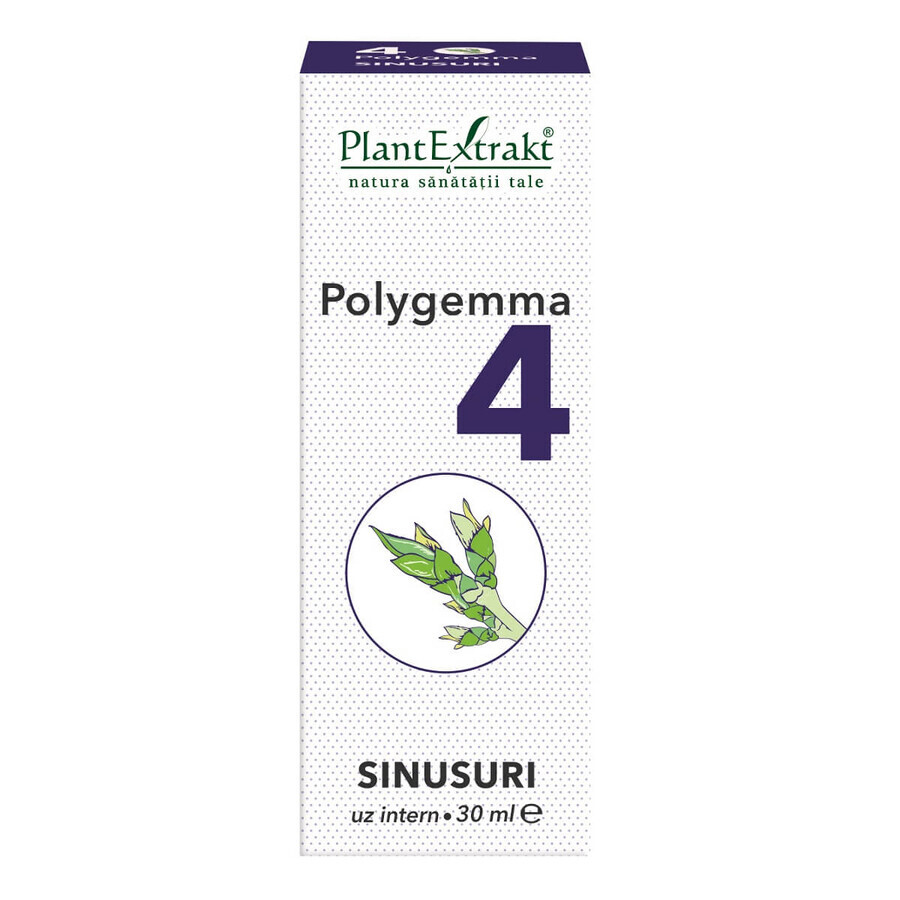 Polygemma 4, Senos paranasales, 30 ml, Extracto vegetal