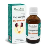 Polygemma 7, Urinary Tract, 50 ml, Plant Extrakt