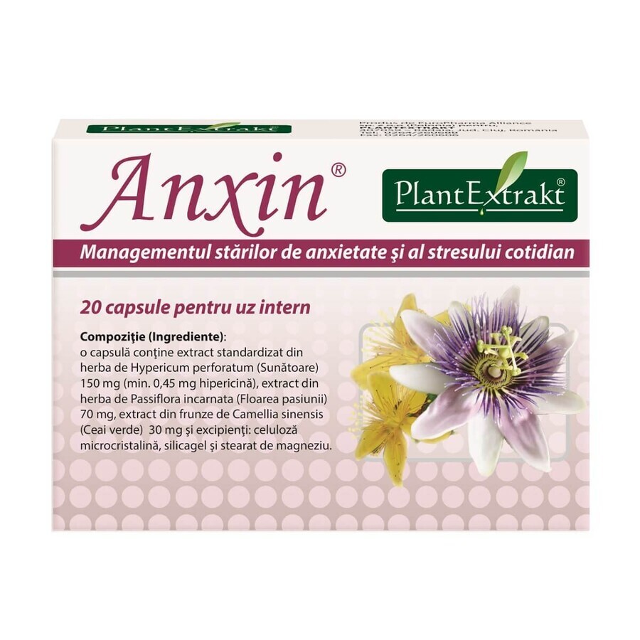 Anxin, 20 cápsulas, Plant Extrakt