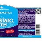 Prostaatsteel, 120 capsules, Herbagetica