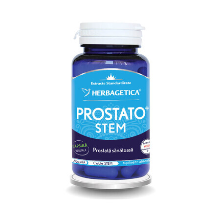 Prostaatsteel, 30 capsules, Herbagetica