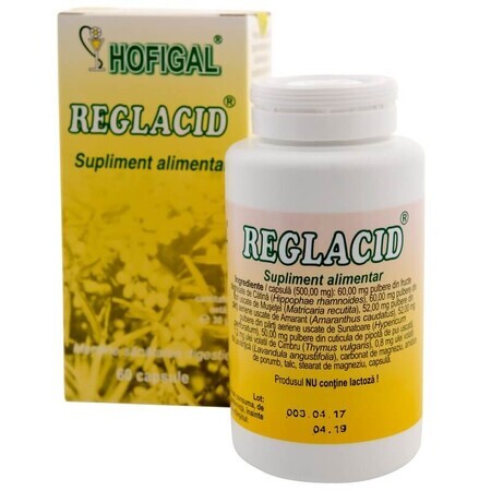 Reglacid, 60 cápsulas, Hofigal