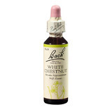 Bach Original White Chestnut Flower Remedy, 20 ml, Rescue Remedy