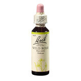 Remedio floral de Bach Original Wild Rose Maces, 20 ml, Rescue Remedy