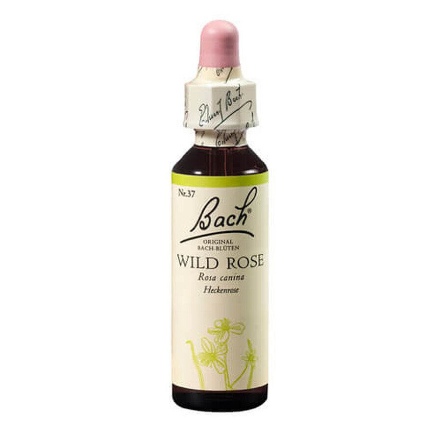 Rimedio floreale Wild Rose Original Bach gocce di papaveri, 20 ml, Rescue Remedy