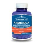 Rhodiola, 120 cápsulas, Herbagetica