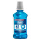 Enjuague bucal Pro-Expert Professional Protect, 250 ml, Oral-B