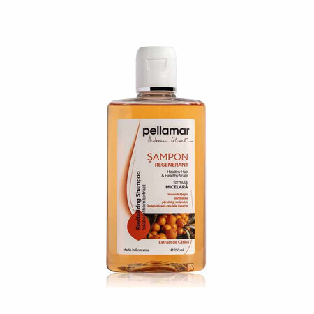 Champú regenerador con extracto de catina Belleza Capilar, 250 ml, Pellamar