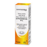 Santaderm spray para quemaduras y piel irritada con Phatenol 9%, 100ml, Viva Pharma