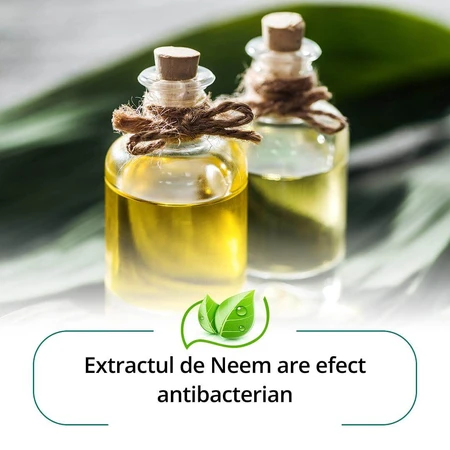 Jabón protector con neem y azafrán indio, 75 g, Himalaya