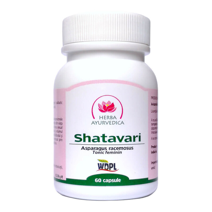 Shatavari, 60 Kapseln, Ayurvedisches Kraut