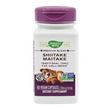 Shiitake Maitake SE Natures Way, 60 cápsulas, Secom