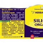 Organisch Silicium, 120 capsules, Herbagetica