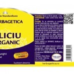 Organisch Silicium, 120 capsules, Herbagetica