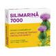 Silimarina 7000, 30 comprimidos, Fiterman