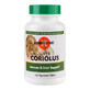 Super Coriolus Mushroom Wisdom, 120 comprimidos, Secom