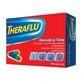 Theraflu Catarro y Tos 500 mg/6,1 mg/100 mg, 16 c&#225;psulas, Gsk