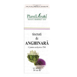 Tinctură de Anghinară, 50 ml, Plant Extrakt