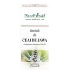 Tintura di tè Jawa, 120 ml, estratto vegetale