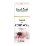 Tintura de equinácea, 50 ml, Plant Extrakt