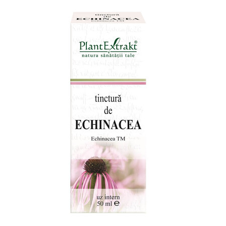 Echinacea-Tinktur, 50 ml, Pflanzenextrakt