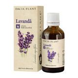 Tintura di lavanda, 50 ml, pianta di Dacia