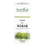 Tintura de Pera, 50 ml, Plant Extrakt