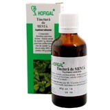 Tintura de menta, 50 ml, Hofigal