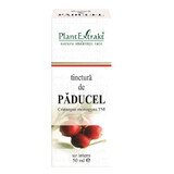 Tinctură de Păducel, 50 ml, Plant Extrakt