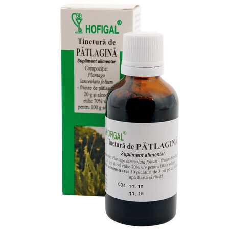 Patlagine Tincture, 50 ml, Hofigal