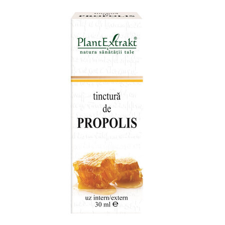 Propolis Tinctuur, 30 ml, Extrakt Plant