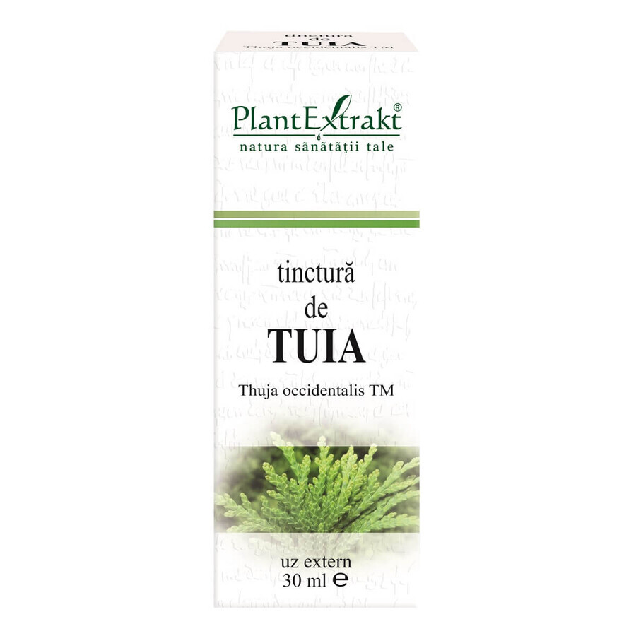 Tuia Tinctuur, 30 ml, Plant Extrakt