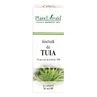 Nalewka z tui, 30 ml, Plant Extrakt