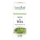 Tintura de Tuia, 30 ml, Plant Extrakt