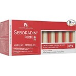 Tratamiento contra la caída del cabello Seboradin Forte, 14 ampollas x 5,5 ml, Lara