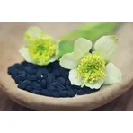 Aceite de comino negro, 30 cápsulas, Parapharm