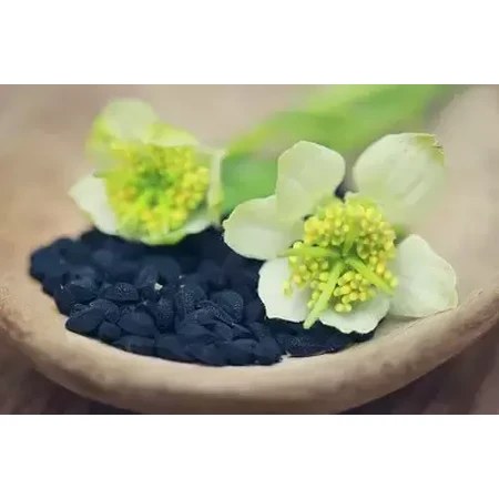 Aceite de comino negro, 30 cápsulas, Parapharm
